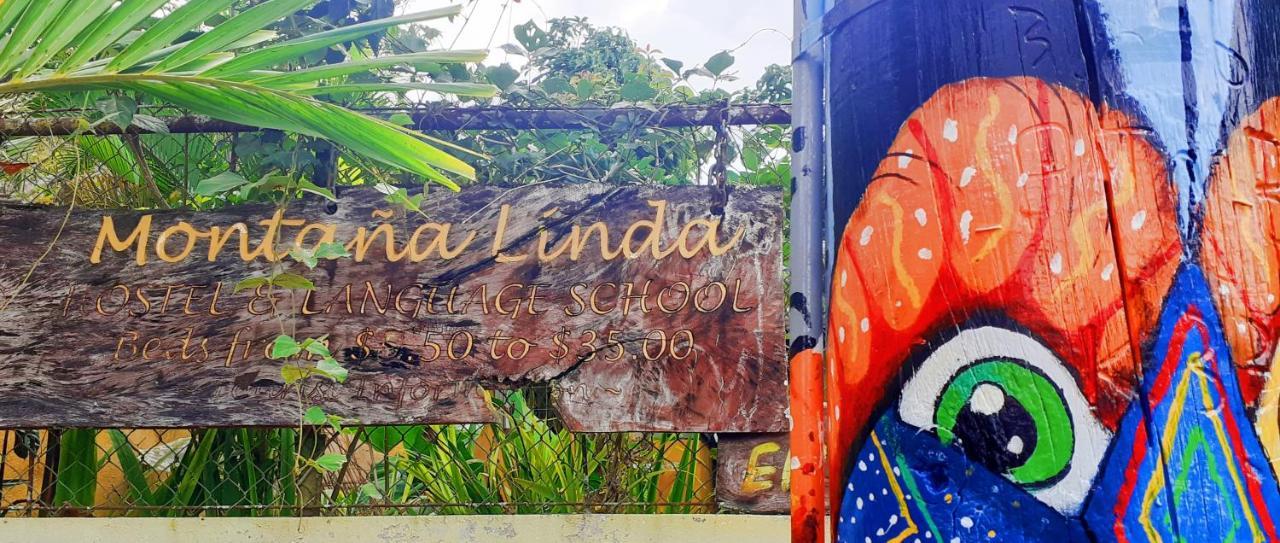 Montana Linda Hostel Orosí エクステリア 写真