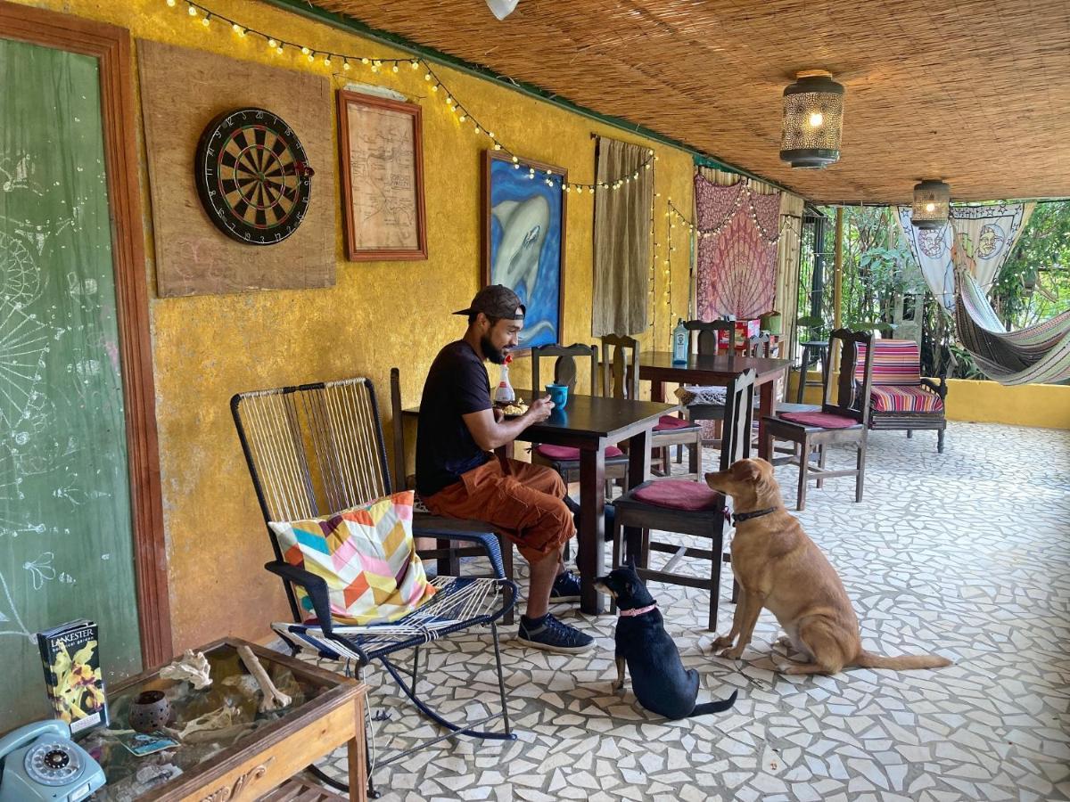 Montana Linda Hostel Orosí エクステリア 写真